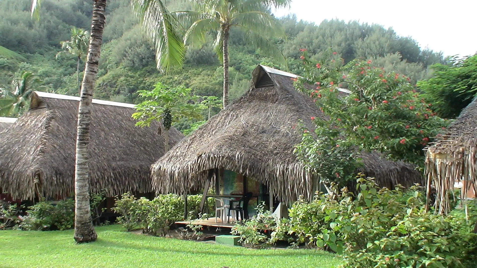 Hotel Hibiscus, Moorea – image 1 sur 1