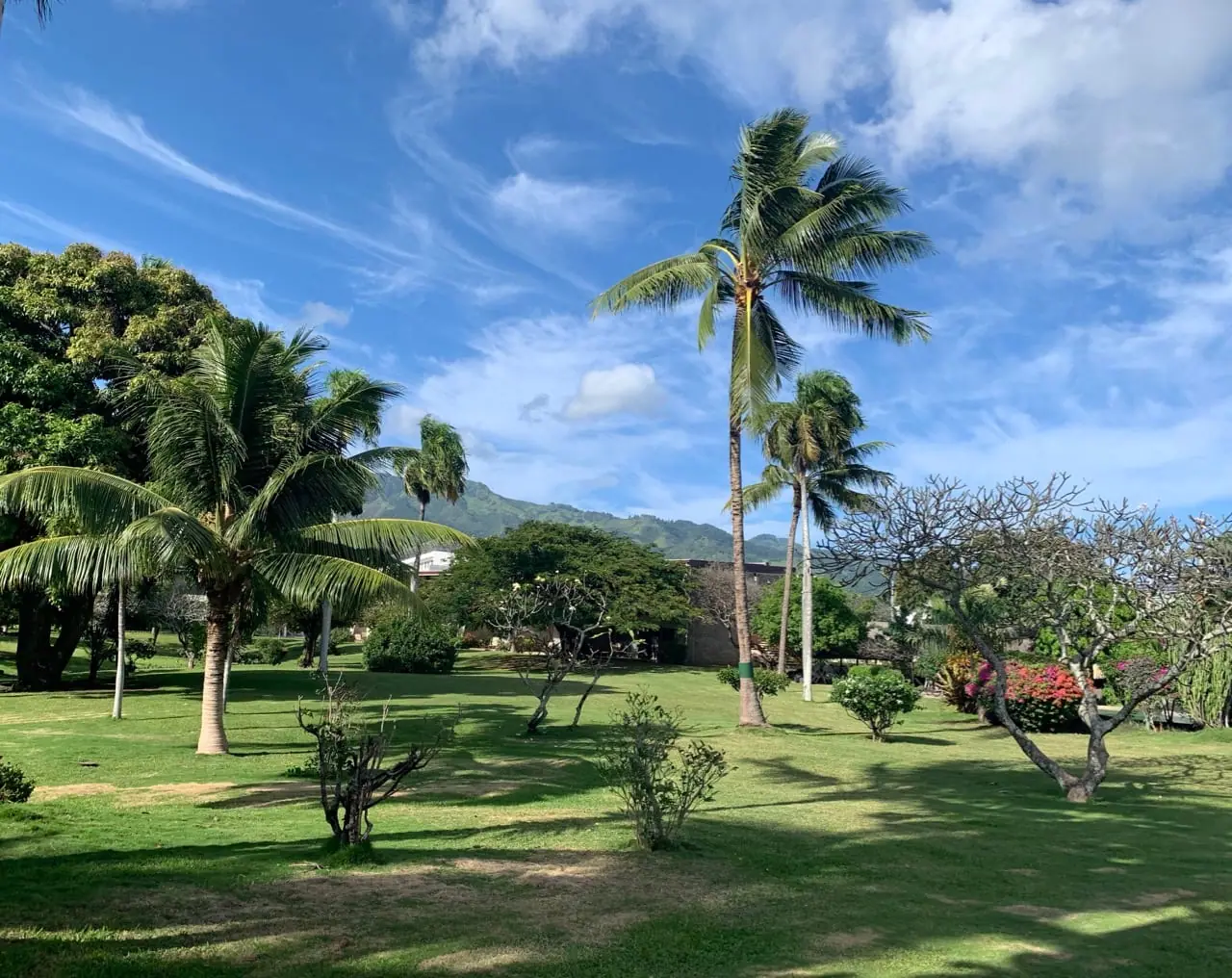Royal Tahitien, Tahiti – image 1 sur 1