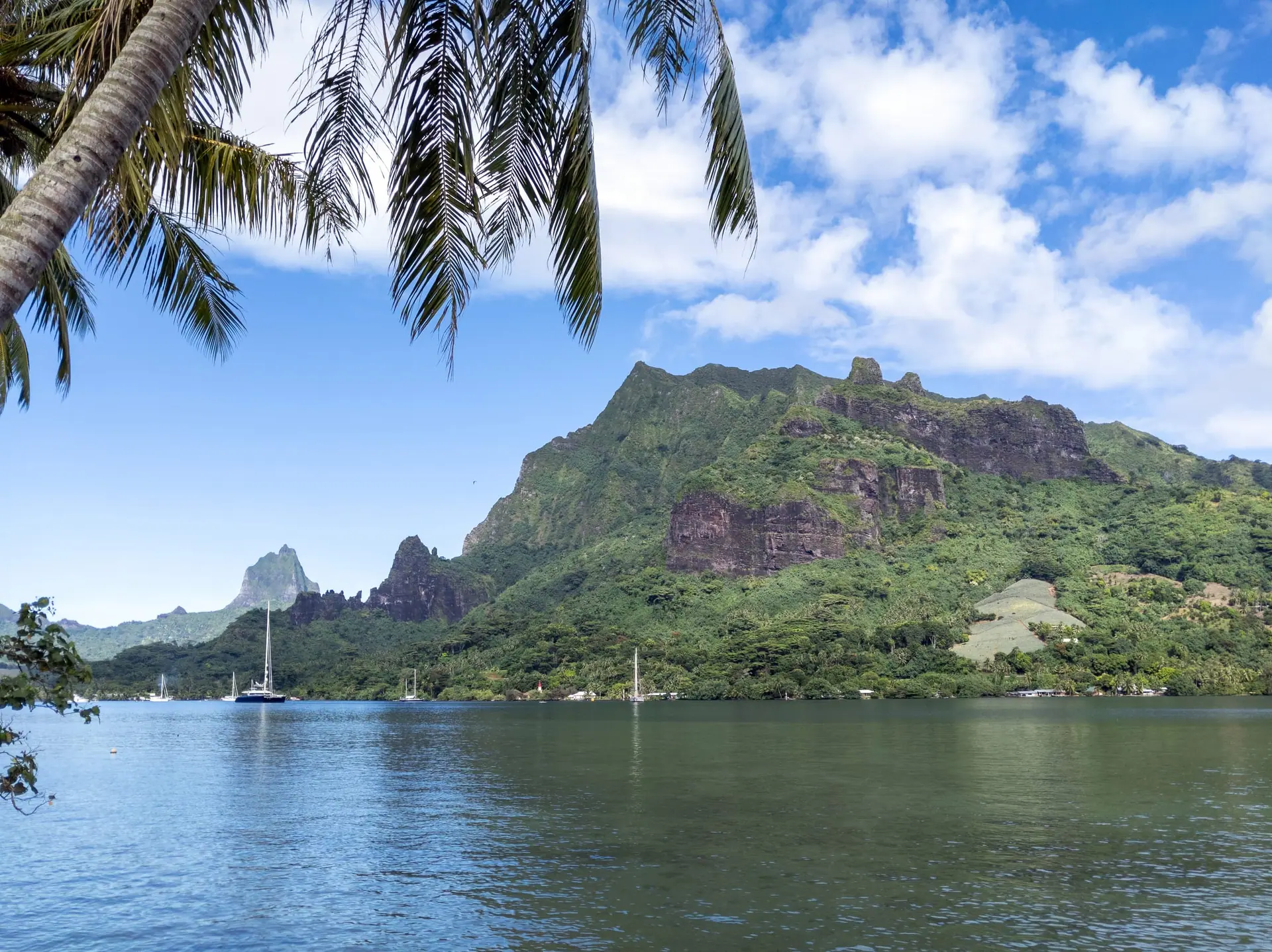 Des voiliers au mouillage dans la baie d’Opunohu, au pied des montagnes de Moorea.