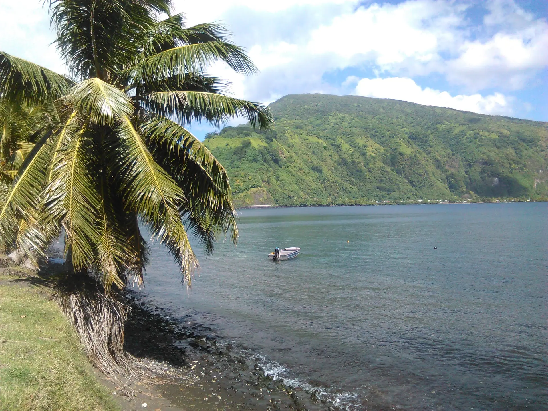 La baie de Tautira, sur Tahiti Iti, avec un cocotier au premier plan et des pentes vertes derrière.
